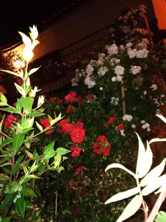 La Fenice Montefiascone Exterior foto