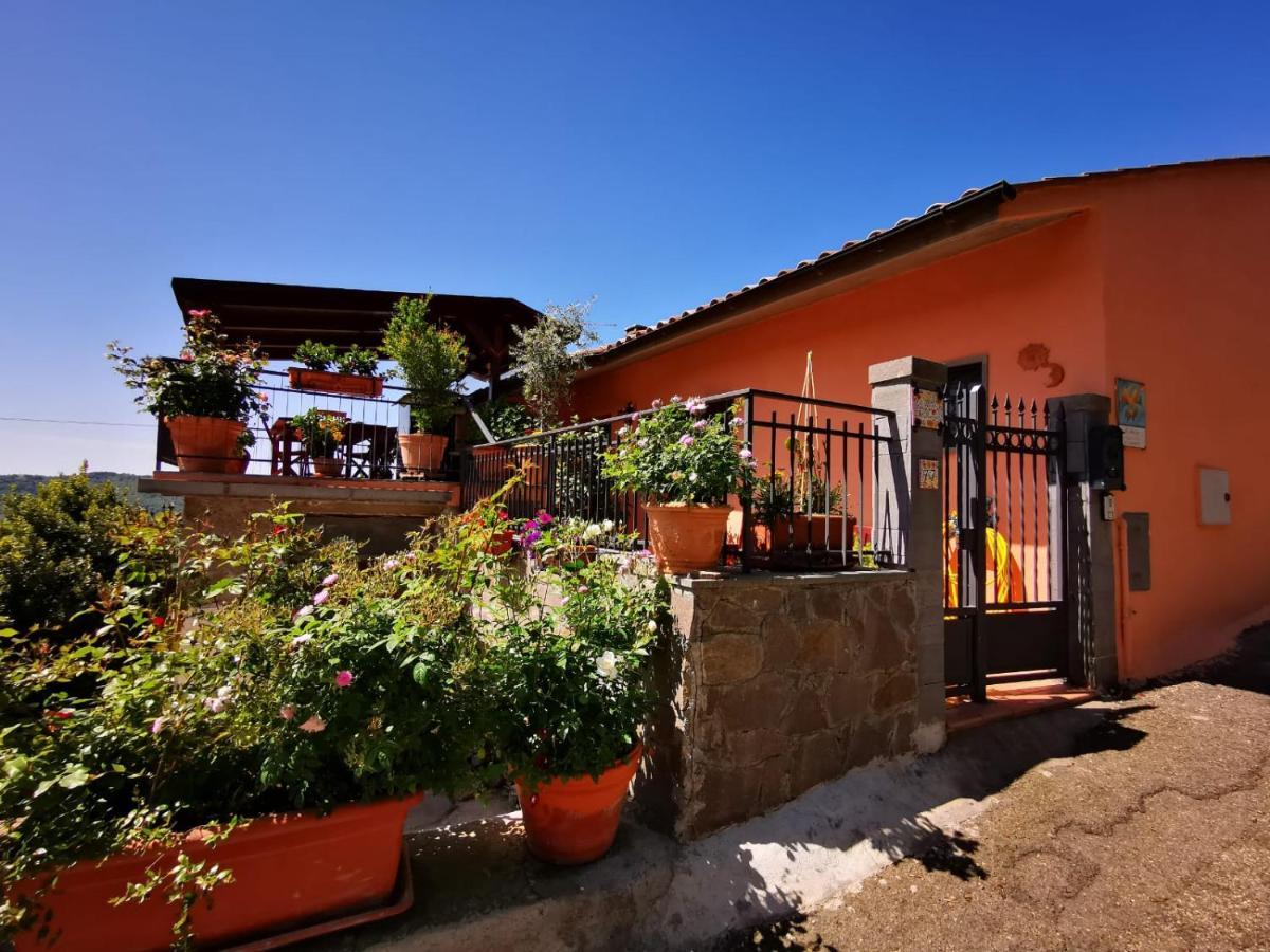 La Fenice Montefiascone Exterior foto